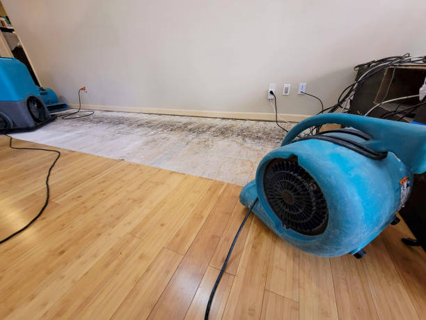 Professional Burst Pipe Water Damage technician working in Bluffton, SC